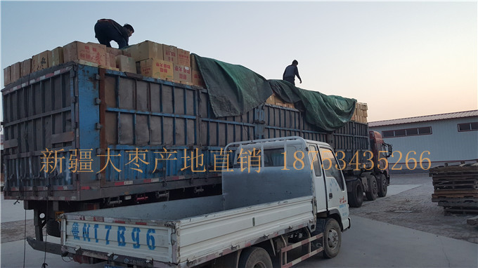好吃的新疆若羌灰枣 若羌灰枣批发商 灰枣多钱一斤 新疆灰枣自产自销