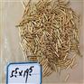 供应 H65环保黄铜棒 H62 H59H黄铜棒大量现货库存