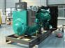 琼山区发电机出租|择信发电机|600KW