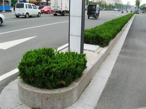 路边石的价格_长春路边石_泰山石材(查看  路边石生产厂家  路边石规格尺寸
