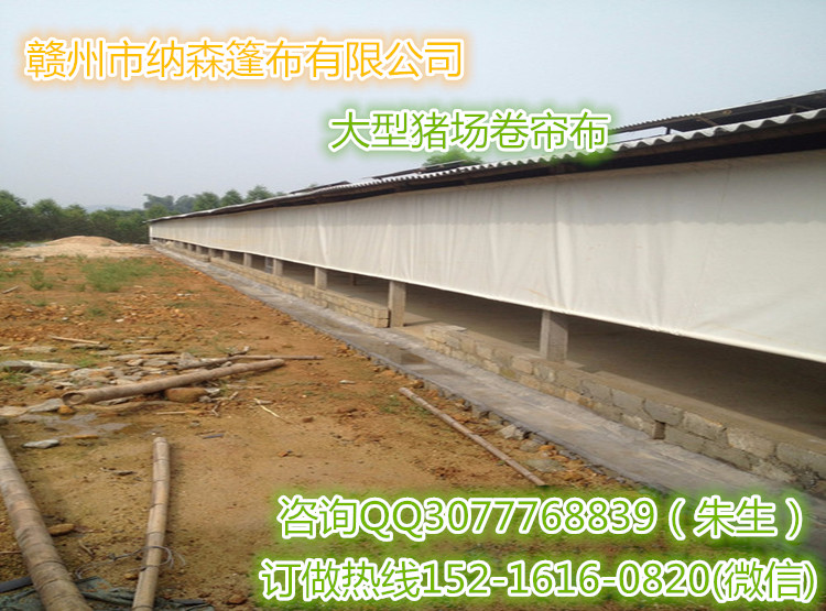 江西省猪场卷帘布，白色牛场卷帘布性价比最高