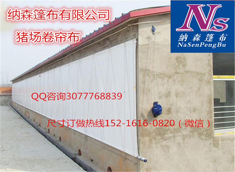 各类养殖场透光牛场卷帘布，优质猪场卷帘布订做批发