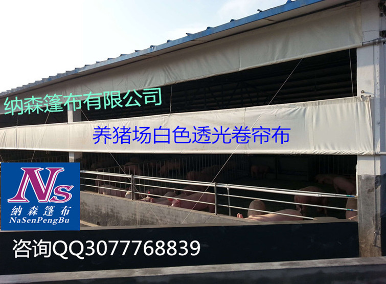 加厚牛场卷帘布,优质猪场卷帘布值得信赖