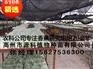 凭祥香蕉苗_一级香蕉脱毒组培袋苗多少钱一