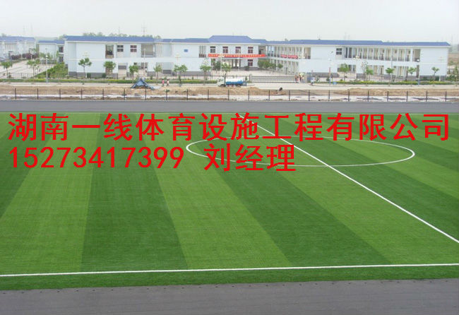 张家界专业人造草足球场建设施工 湖南一线体育  张家界人造足球场施工