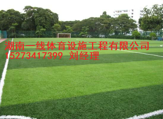 张家界专业人造草足球场建设施工 湖南一线体育  张家界人造足球场施工