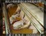厂家直销养猪场用微孔格栅板 污水处理小孔网格板