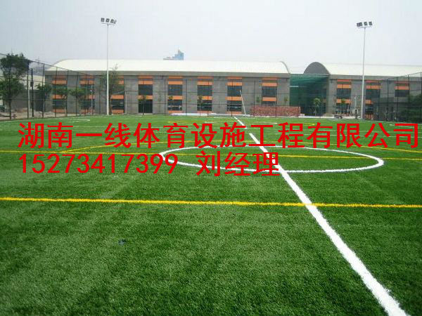 郴州资兴市人造草坪足球场价格预算湖南一线  资兴人造草足球场