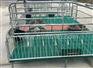 母猪产床、恒泰农牧设备、母猪产床分娩床