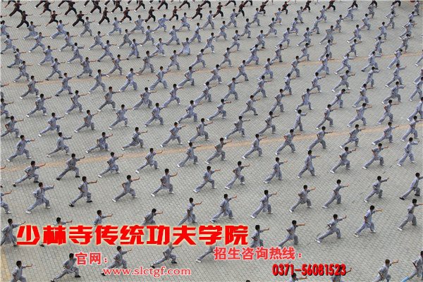 少林寺武校收费_少林寺武校招生 厂家价格