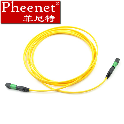 菲尼特12芯单模万兆MTP光纤线可定制  光纤跳线  万兆光纤