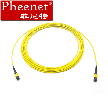 菲尼特12芯单模万兆MTP光纤线可定制  光纤跳线  万兆光纤