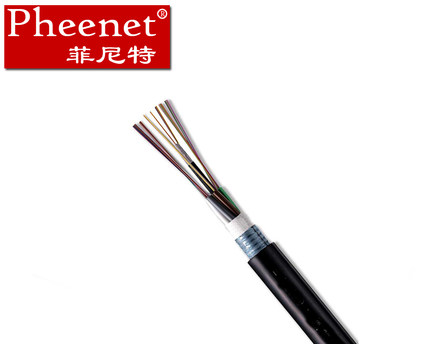 Pheenet12芯光缆 光缆的具体的特点及用途  光纤跳线