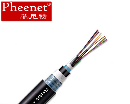 Pheenet12芯光缆 光缆的具体的特点及用途  光纤跳线