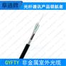 厂家直销GYFTY-16B1光缆单模光缆架空光缆 非金属加强