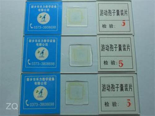 标本_禾力教学设备_植物组织切片厂家  植物病害标本批发  植物病害原色标本