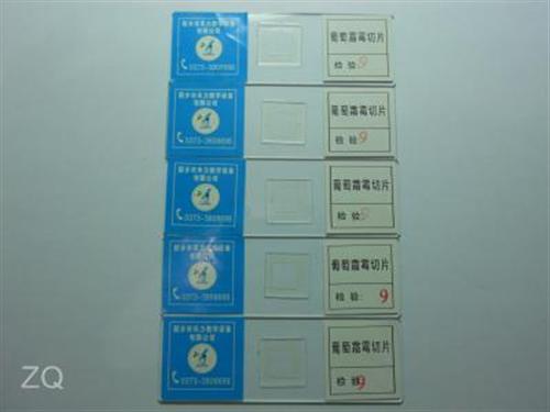 广西标本_禾力教学设备_生物显微玻片标本  切片标本  微生物学切片