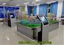 石油化工模型，煤化工模型，化工装置模型