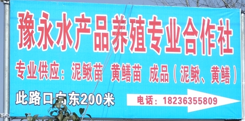 永城市豫永水产品养殖专业合作社