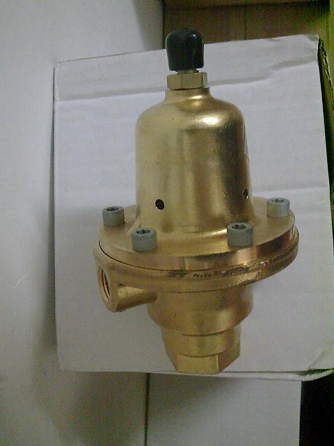 美国FISHER费希尔1301F减压阀/1301G调压器/1  过滤器
