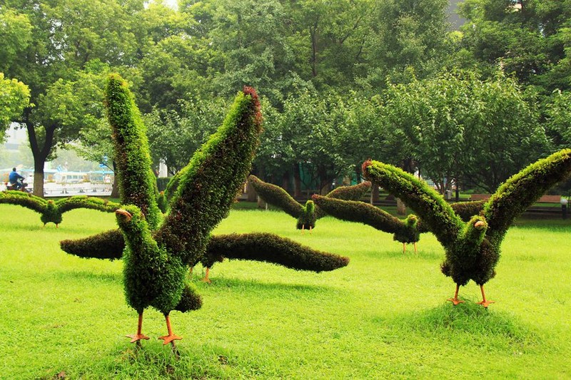 立体造型&nbsp;&nbsp;景观造型&nbsp;&nbsp;立体景观&nbsp;&nbsp;植物造型