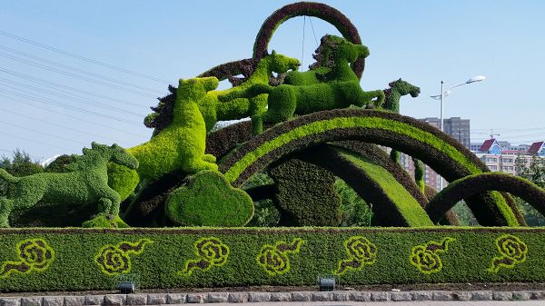 植物造型&nbsp;&nbsp;景观造型&nbsp;&nbsp;绿雕