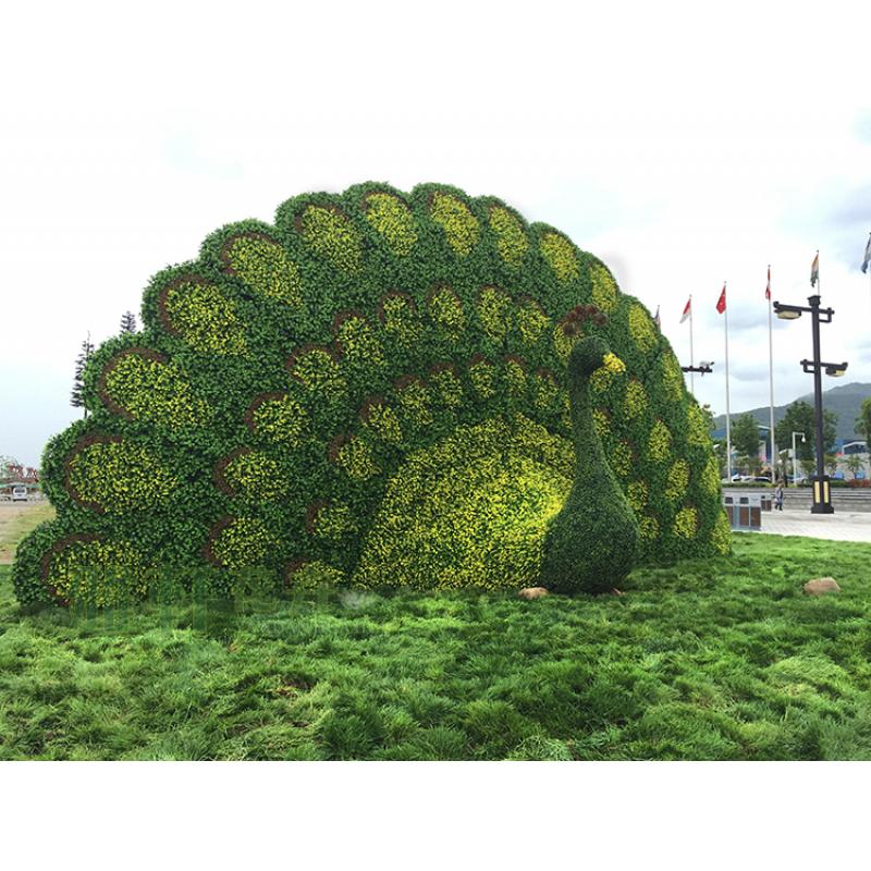 开封市祥符区新园五色草花木有限公司