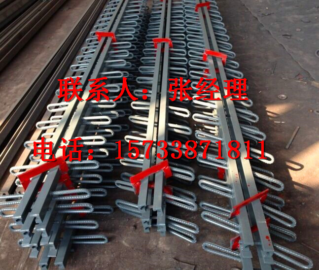 广东汕头D80型桥梁伸缩缝哪家好