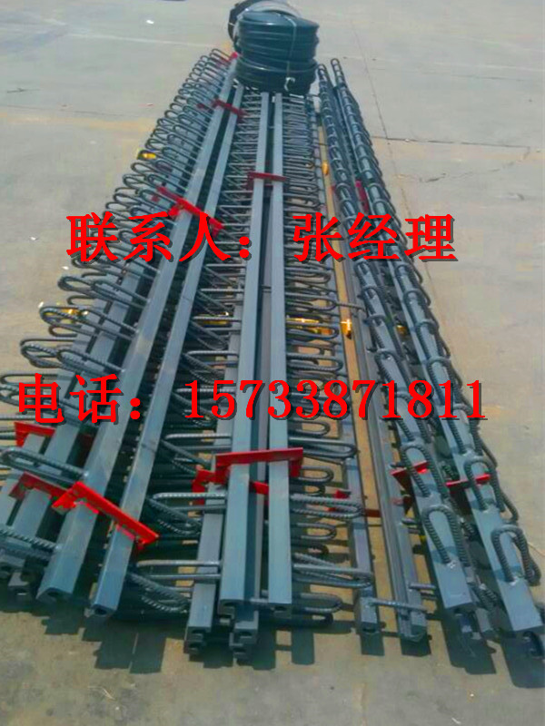 渭南澄城县D80型桥梁伸缩缝市场价格