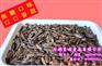 焦糖瓜子推荐|河北焦糖瓜子|美哈食品声名