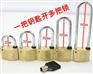 电力表箱锁 梅花铜锁 物业小区网吧机箱锁防