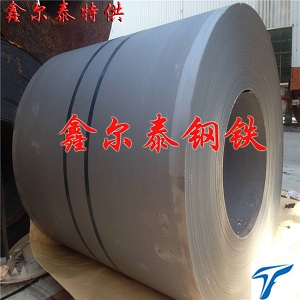 泰州-兴化-热轧卷（鑫尔泰）  兴化热轧卷供应  泰州热轧卷供应