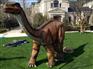 恐龙出租恐龙展览出租一条龙出租服务恐龙出租出售