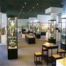广西南宁精品展示柜生产厂家,展君诚精彩,柜万家品牌