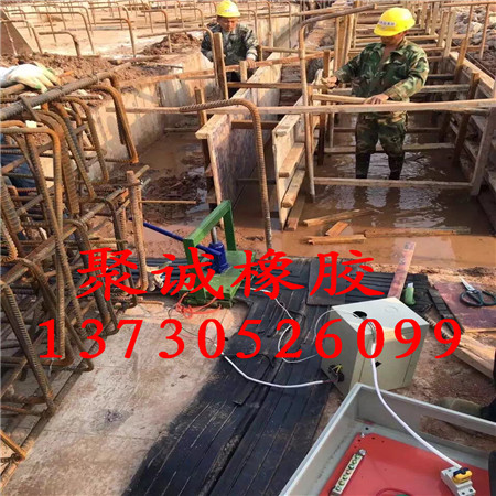 安徽蚌埠300*8止水带-中埋式