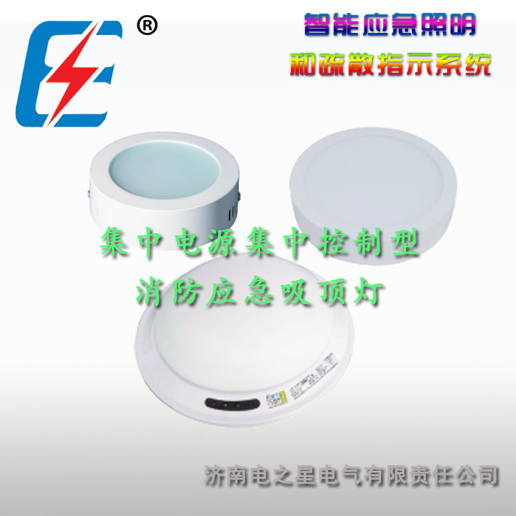 智能应急照明和疏散指示系统 济南电之星电气  智能应急照明系统  智能疏散指示系统