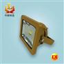 LED防爆投光灯30W40W