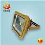 LED化工厂防爆投光灯60W70W
