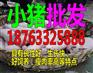 甘肃附近哪里有小猪苗批发