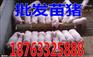甘肃河北衡水仔猪价格
