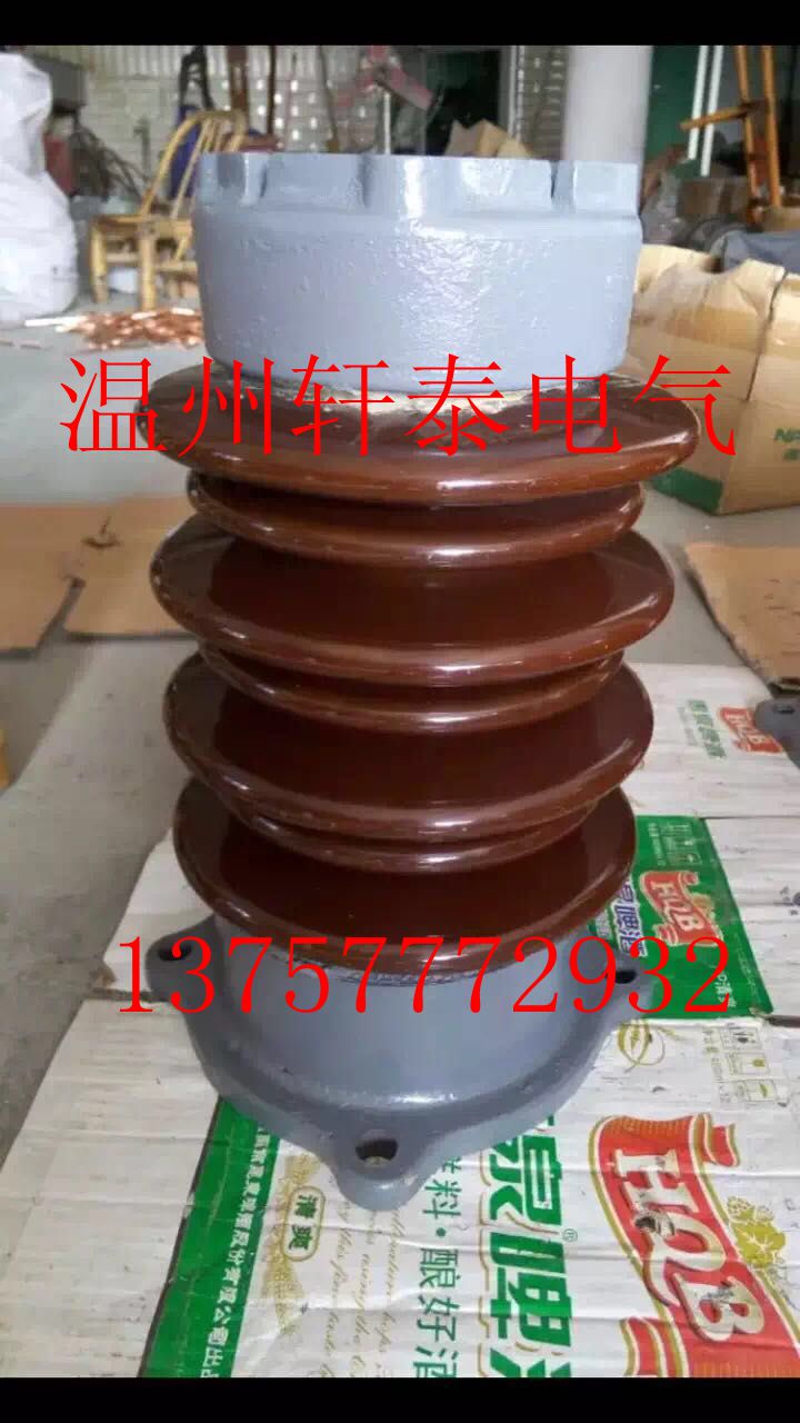 ZSW-20/30 ZSW-20/30绝缘子