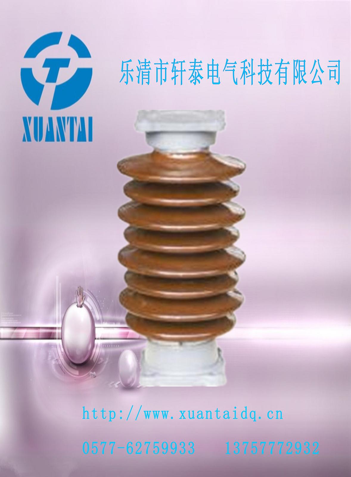 ZSW-35/4轩泰质量不错价格又便宜ZS-35/4  绝缘子