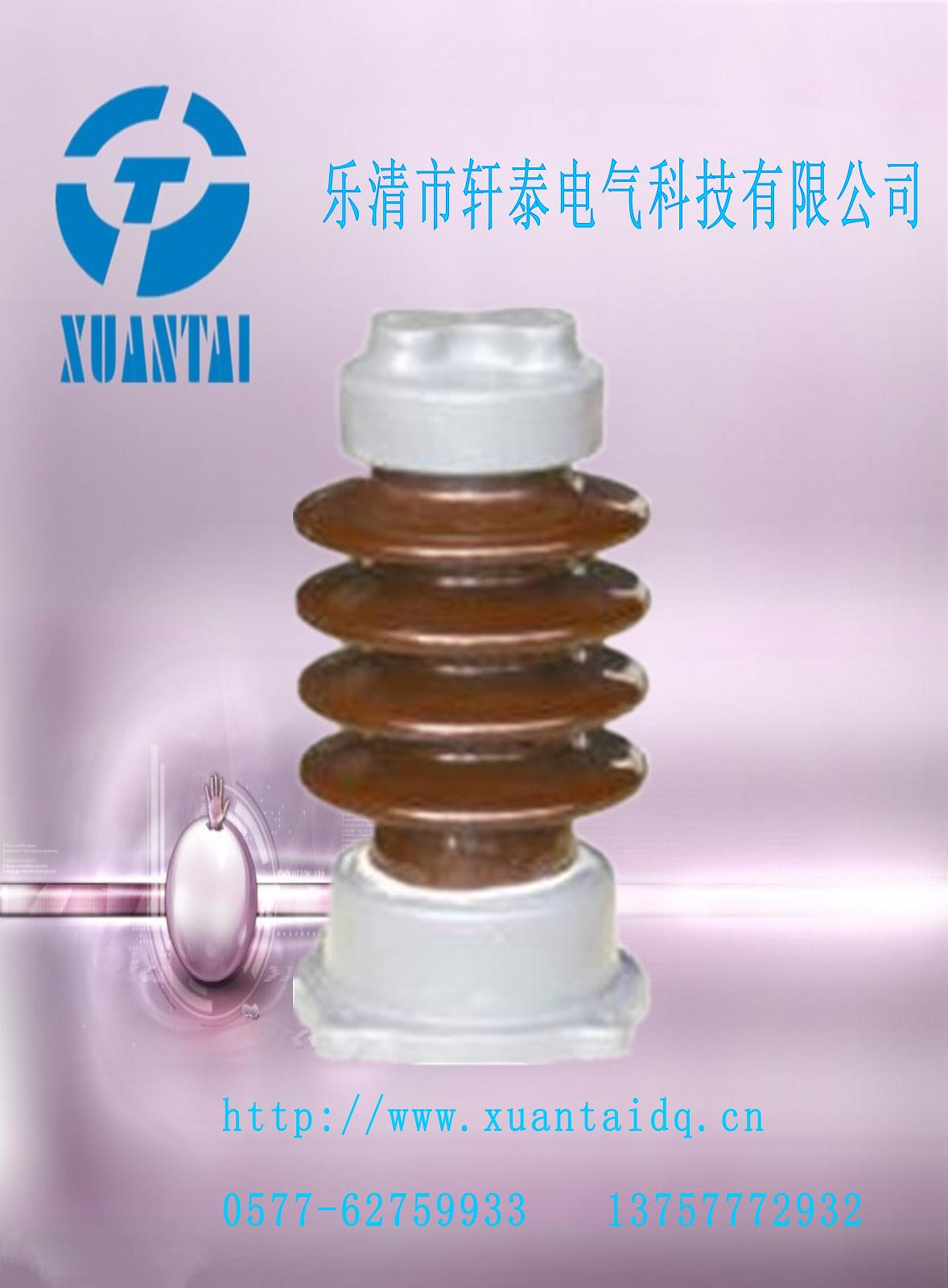 ZSW-20/10轩泰质量不错价格又便宜ZS-20/10  绝缘子