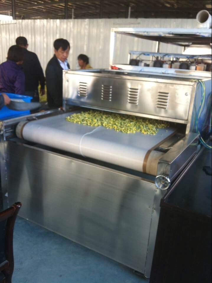 杭白菊微波杀青干燥机  微波干燥机  微波干燥灭菌机  菊花微波烘干机