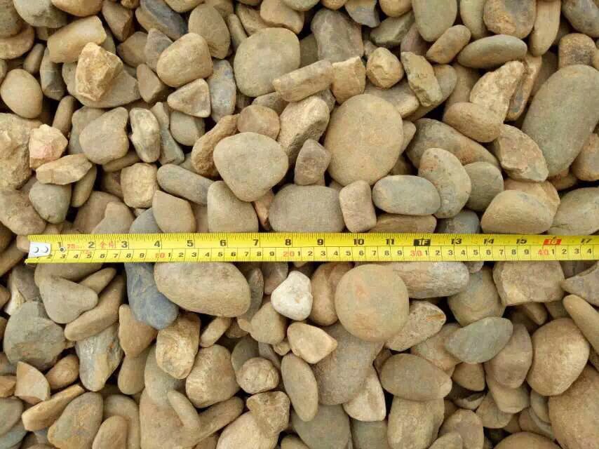 良好园林供应鹅卵石 大量鹅卵石批发 鹅卵石价格 各种规格