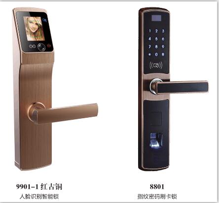 泰安楼宇门生产，泰安可视对讲批发，泰安指纹锁厂家