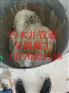 水下管道安装气囊堵漏公司!