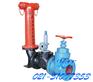 地上式水泵接合器|喷淋接合器|SQS100-1.6