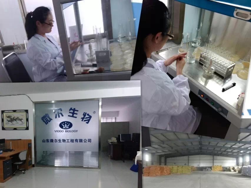 山东微尔生物工程有限公司