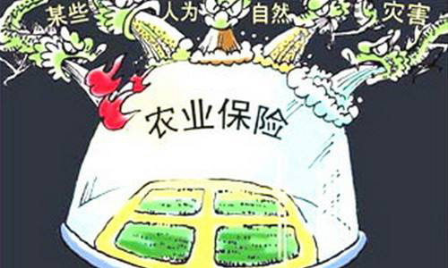 农业保险市场规模现状分析